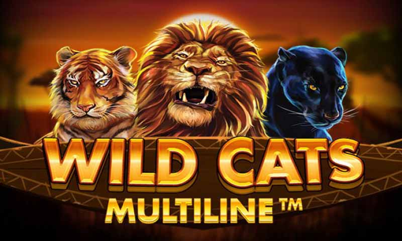 Cara Bermain Game Pragmatic Play Wild Cat Multiline